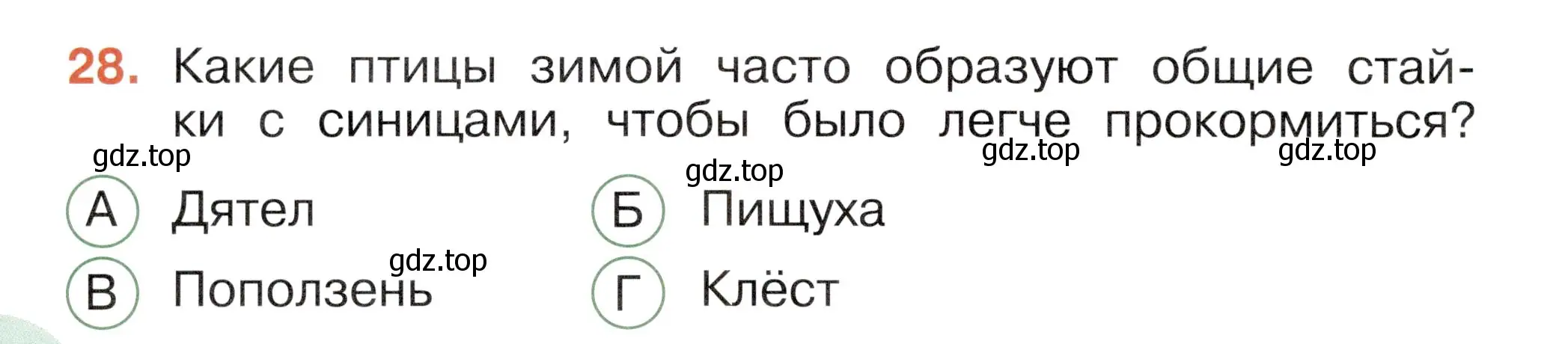 Условие номер 28 (страница 46) гдз по окружающему миру 2 класс Плешаков, Новицкая, тесты