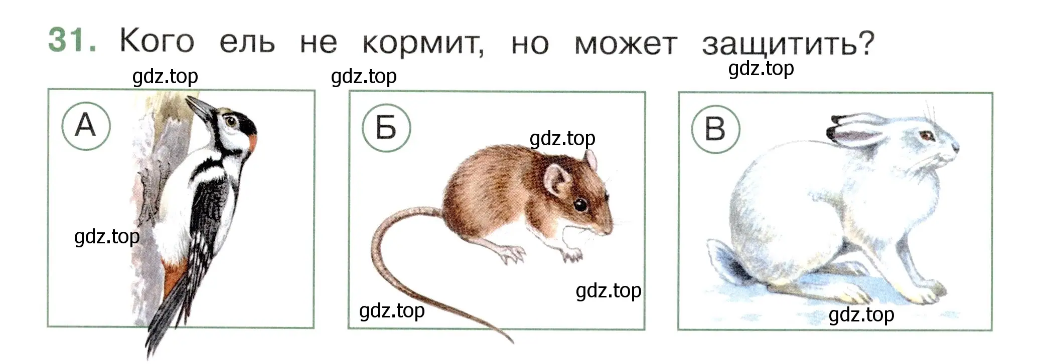 Условие номер 31 (страница 47) гдз по окружающему миру 2 класс Плешаков, Новицкая, тесты