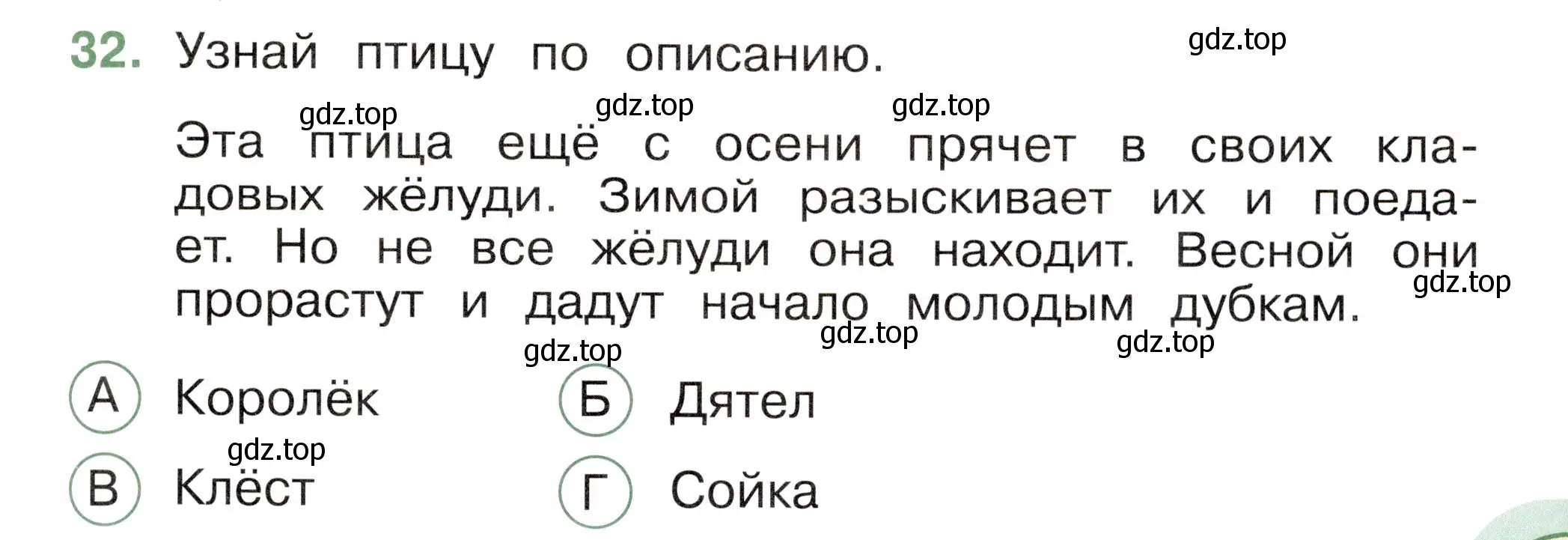 Условие номер 32 (страница 47) гдз по окружающему миру 2 класс Плешаков, Новицкая, тесты