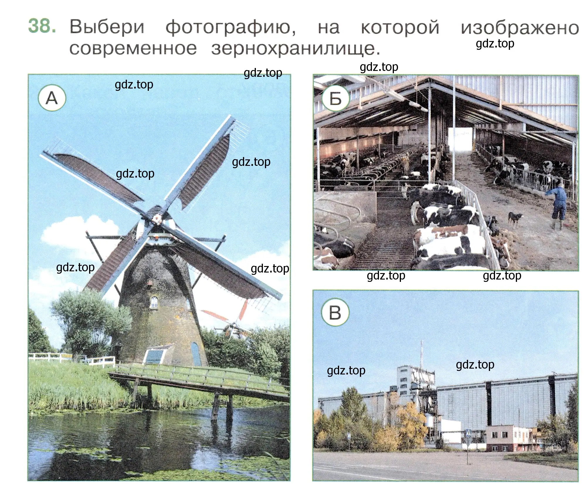 Условие номер 38 (страница 50) гдз по окружающему миру 2 класс Плешаков, Новицкая, тесты