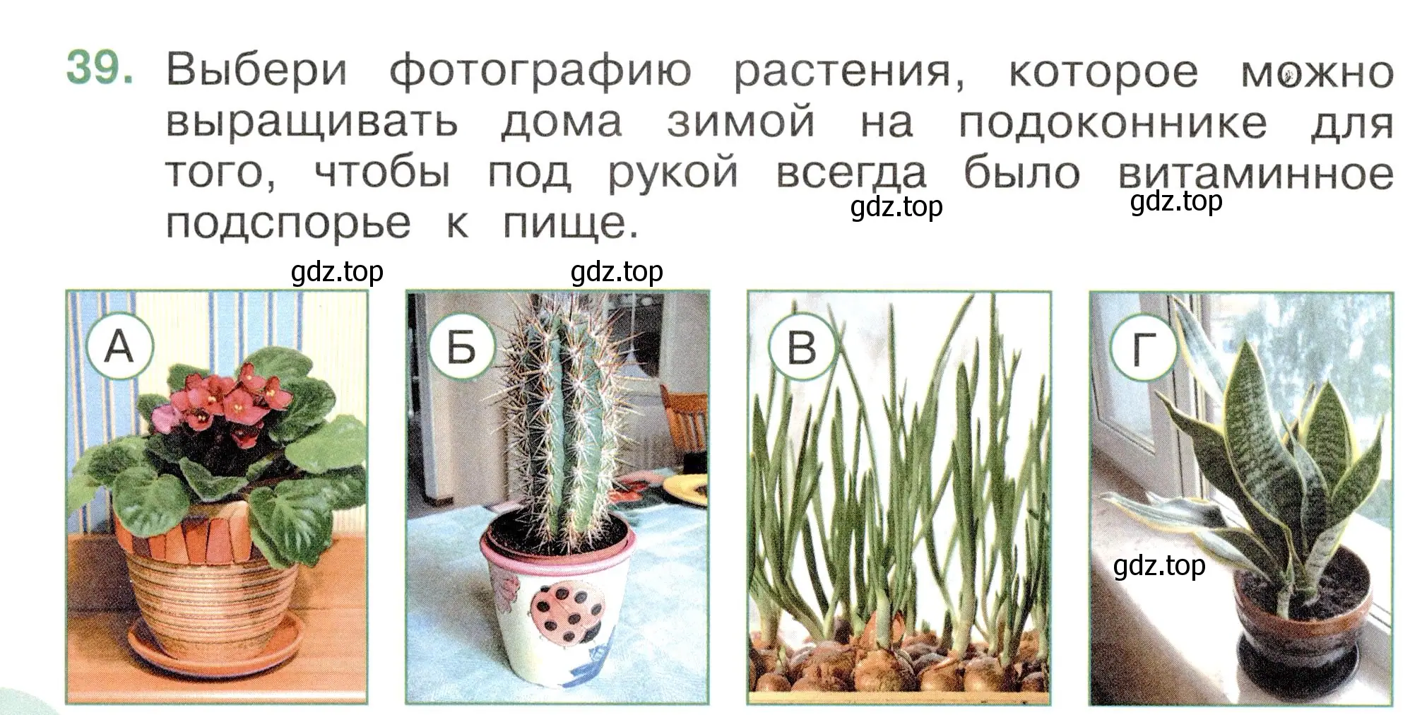 Условие номер 39 (страница 50) гдз по окружающему миру 2 класс Плешаков, Новицкая, тесты