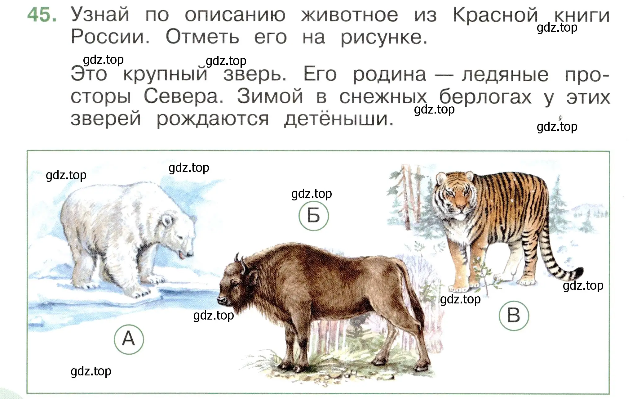 Условие номер 45 (страница 54) гдз по окружающему миру 2 класс Плешаков, Новицкая, тесты