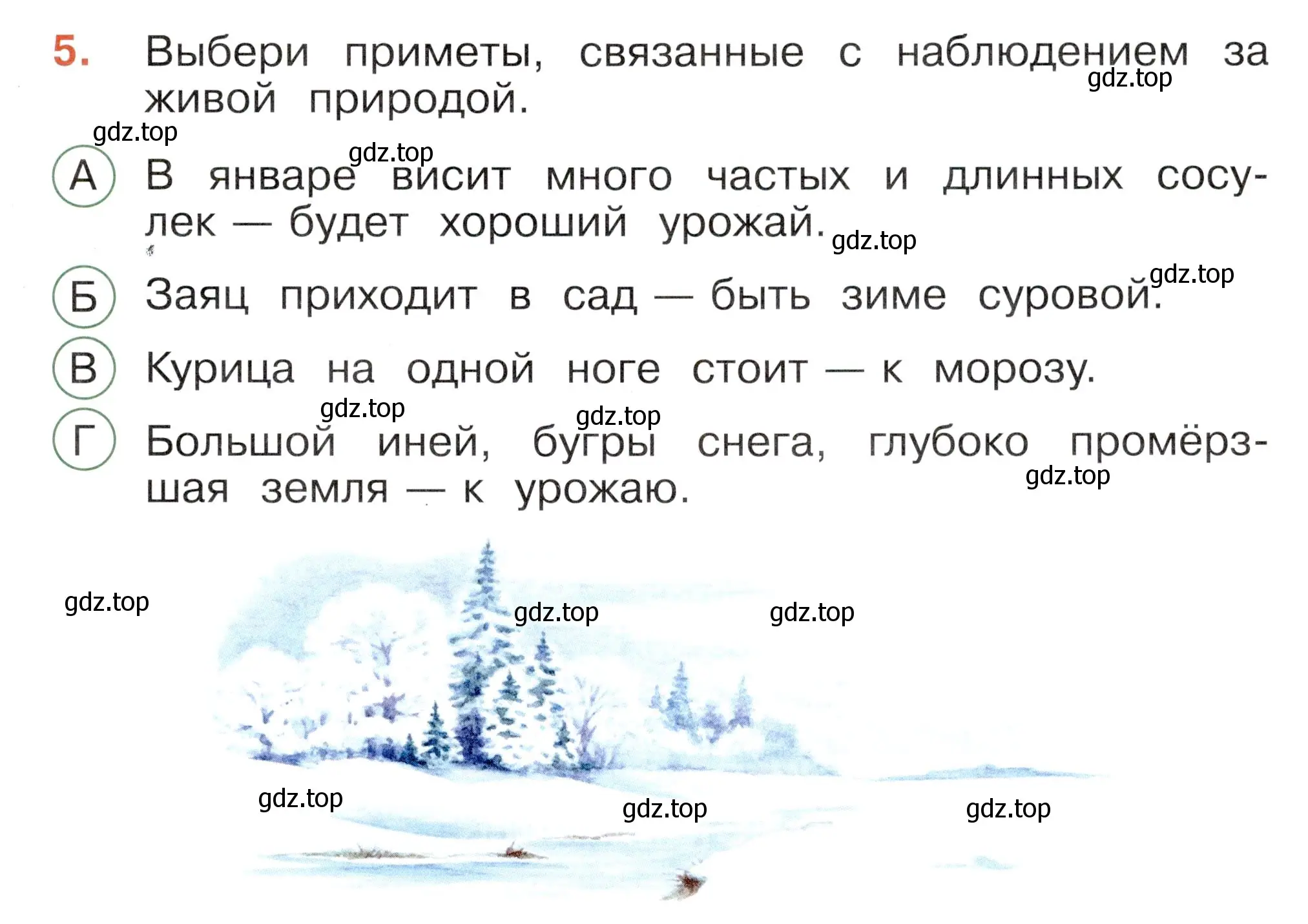 Условие номер 5 (страница 37) гдз по окружающему миру 2 класс Плешаков, Новицкая, тесты