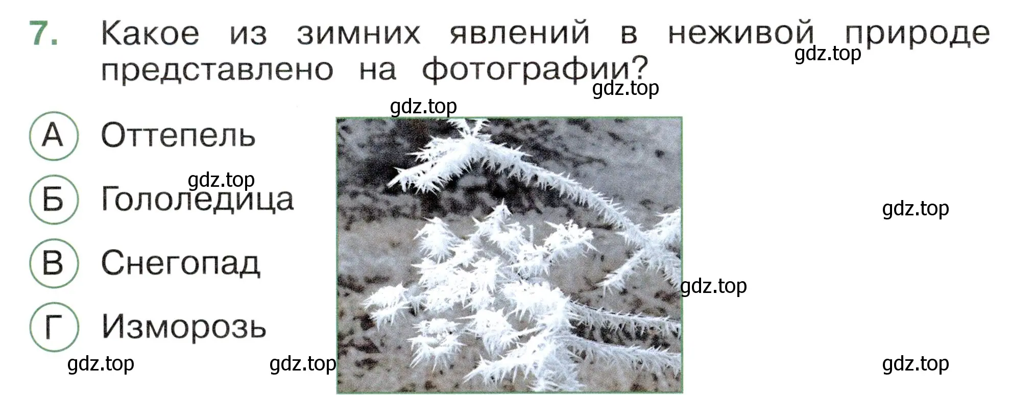 Условие номер 7 (страница 38) гдз по окружающему миру 2 класс Плешаков, Новицкая, тесты