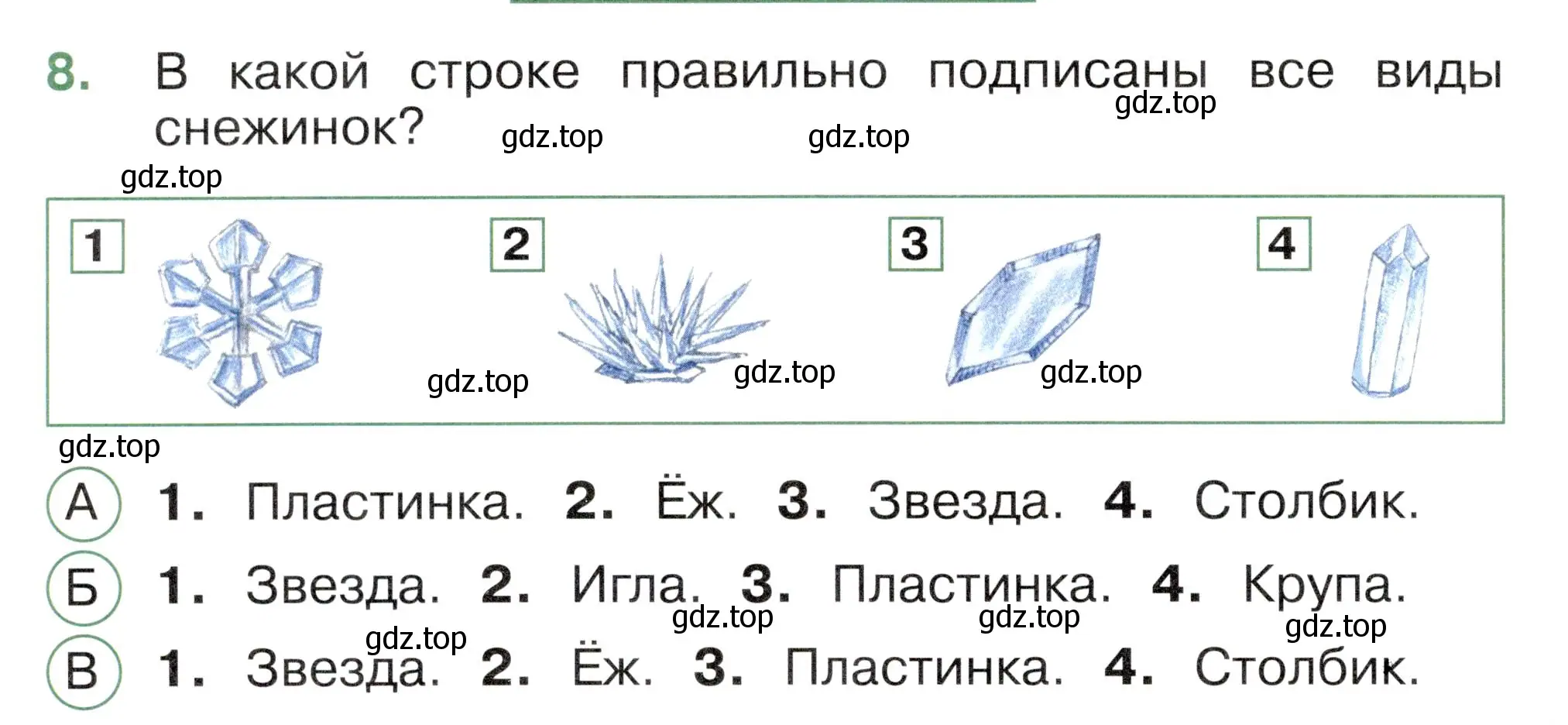 Условие номер 8 (страница 38) гдз по окружающему миру 2 класс Плешаков, Новицкая, тесты