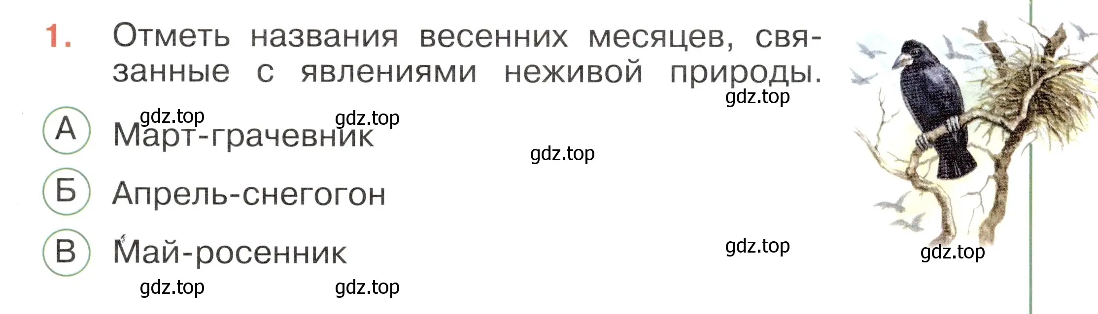 Условие номер 1 (страница 55) гдз по окружающему миру 2 класс Плешаков, Новицкая, тесты