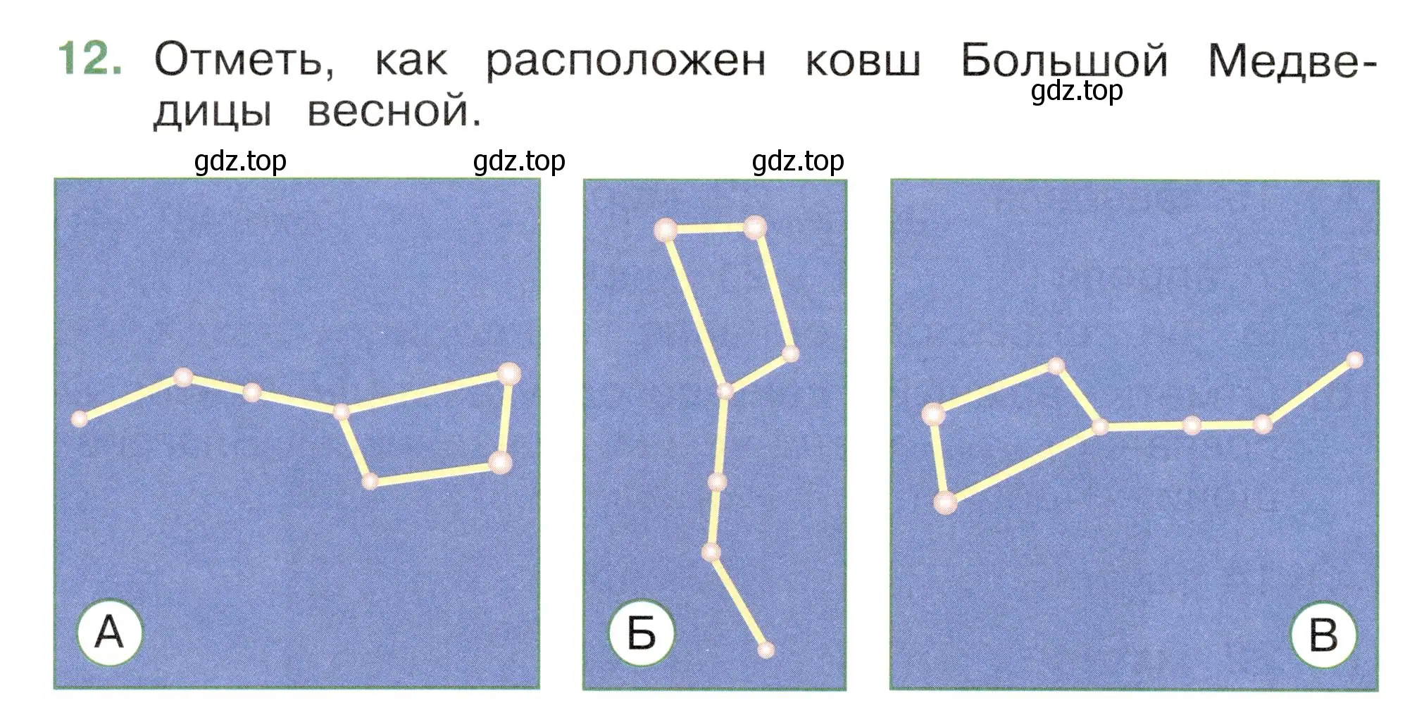 Условие номер 12 (страница 58) гдз по окружающему миру 2 класс Плешаков, Новицкая, тесты