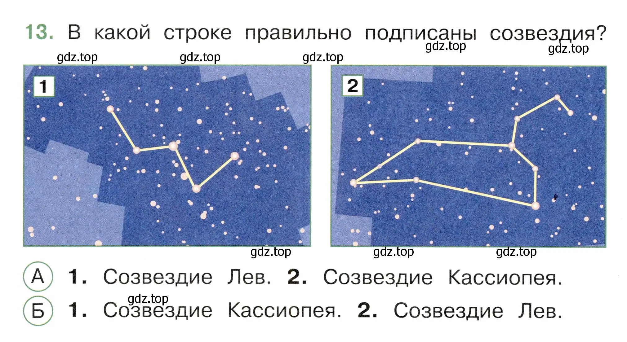 Условие номер 13 (страница 58) гдз по окружающему миру 2 класс Плешаков, Новицкая, тесты