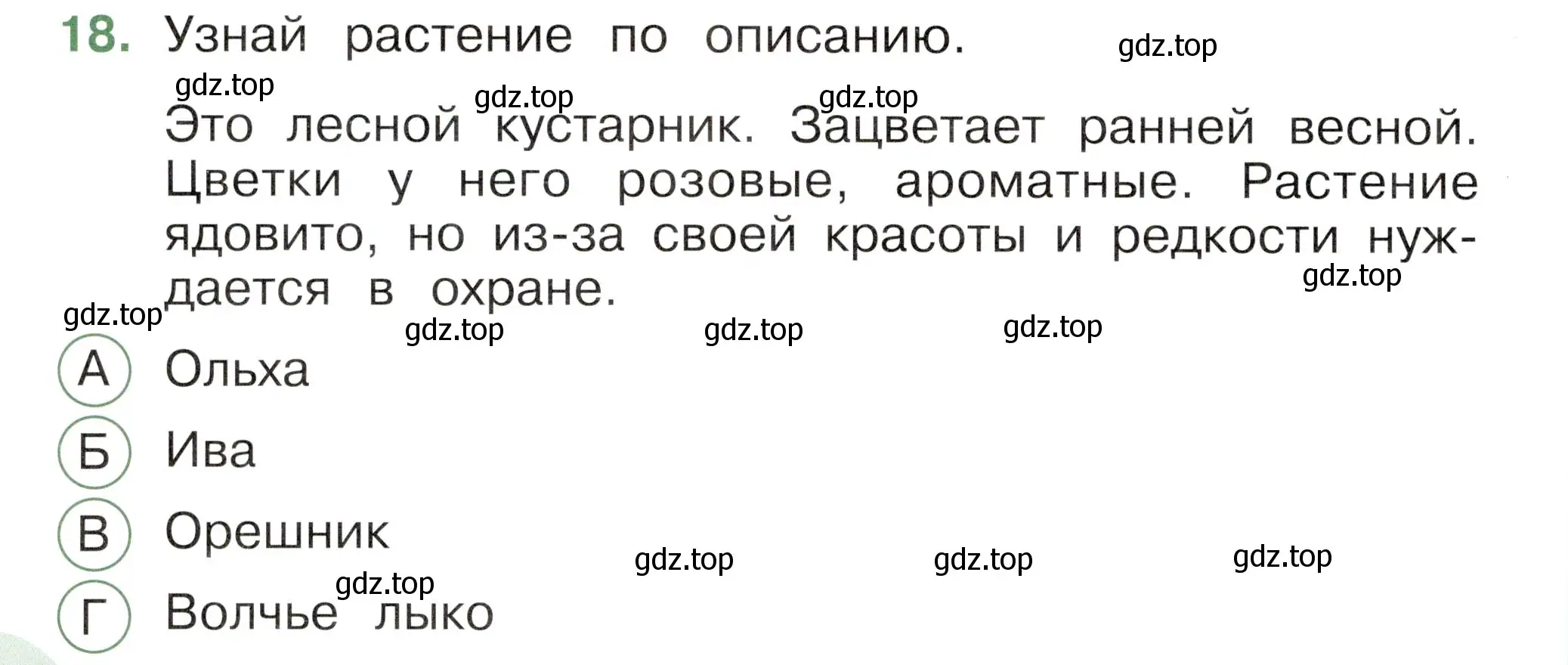 Условие номер 18 (страница 60) гдз по окружающему миру 2 класс Плешаков, Новицкая, тесты