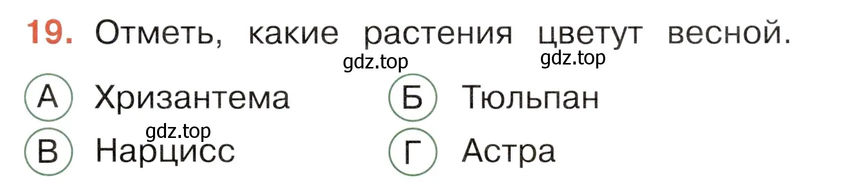 Условие номер 19 (страница 61) гдз по окружающему миру 2 класс Плешаков, Новицкая, тесты