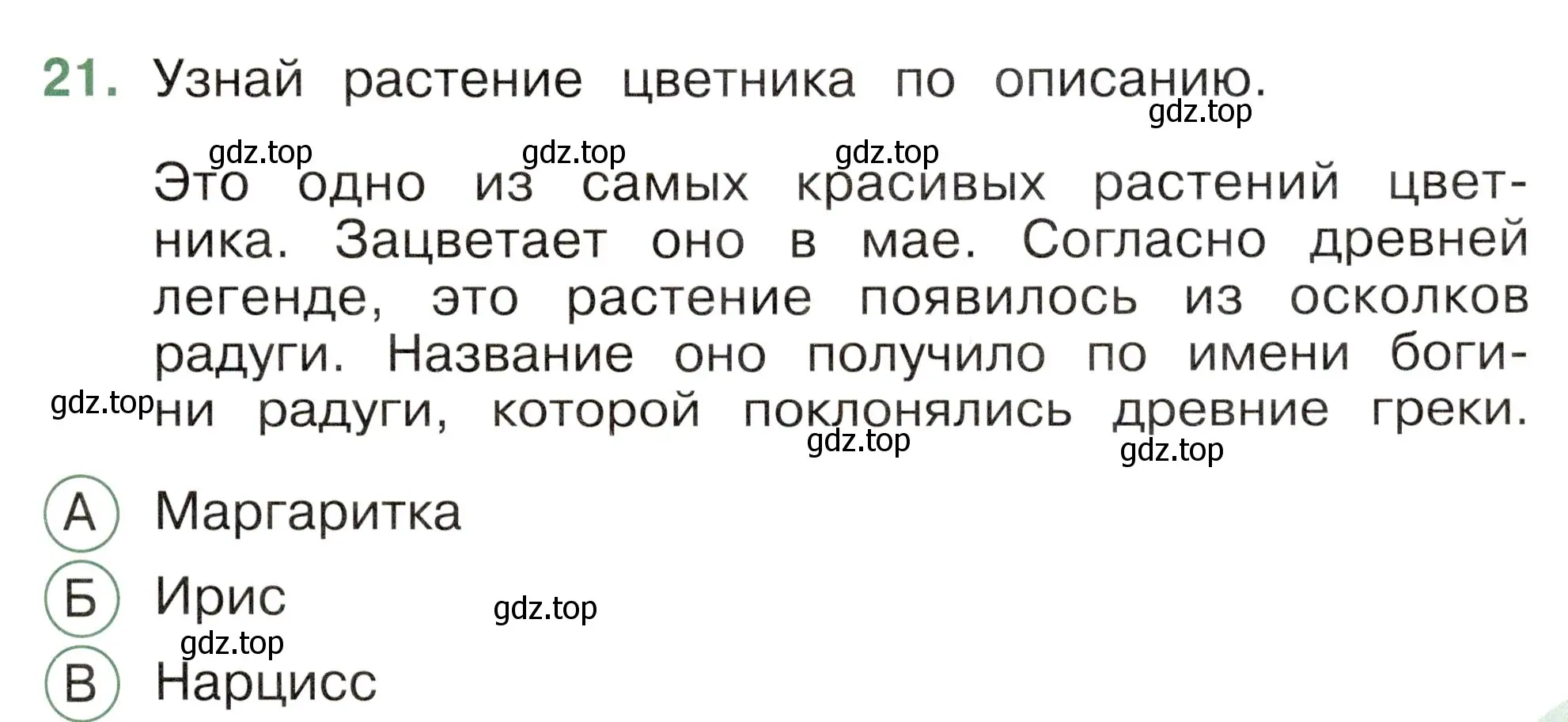 Условие номер 21 (страница 61) гдз по окружающему миру 2 класс Плешаков, Новицкая, тесты