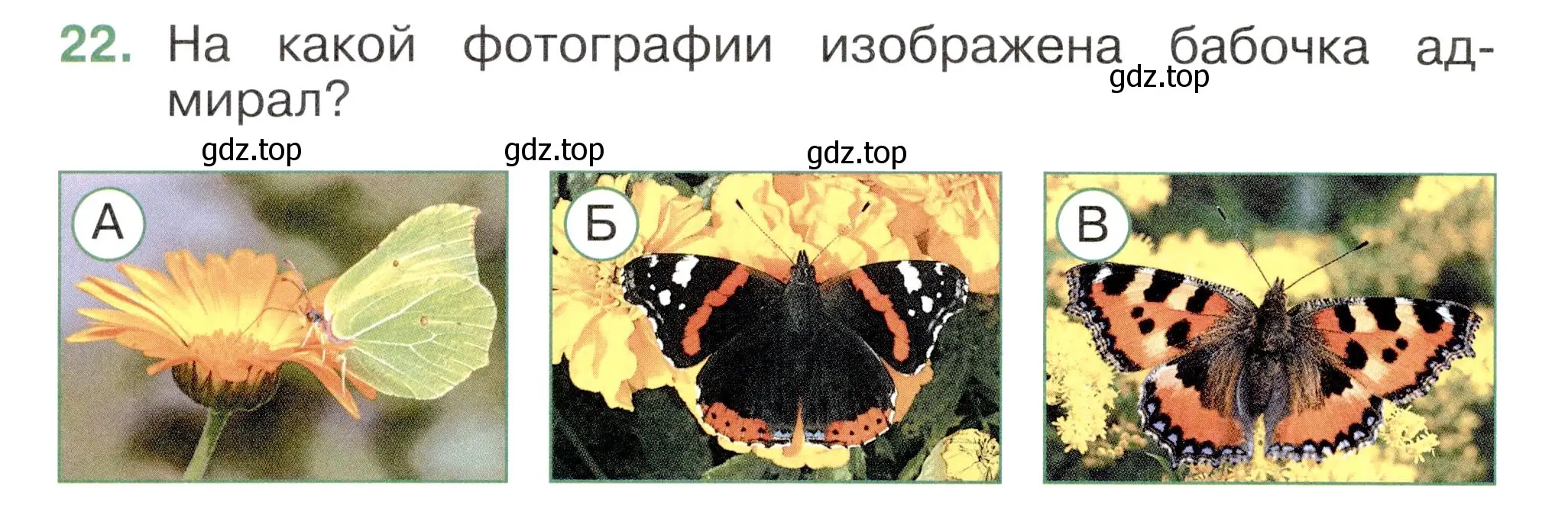 Условие номер 22 (страница 62) гдз по окружающему миру 2 класс Плешаков, Новицкая, тесты