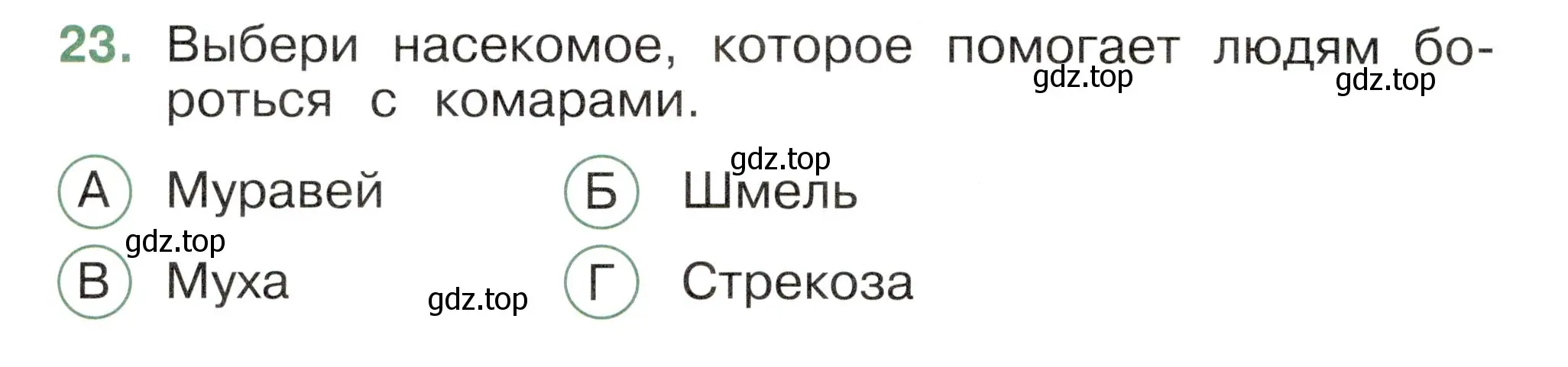 Условие номер 23 (страница 62) гдз по окружающему миру 2 класс Плешаков, Новицкая, тесты