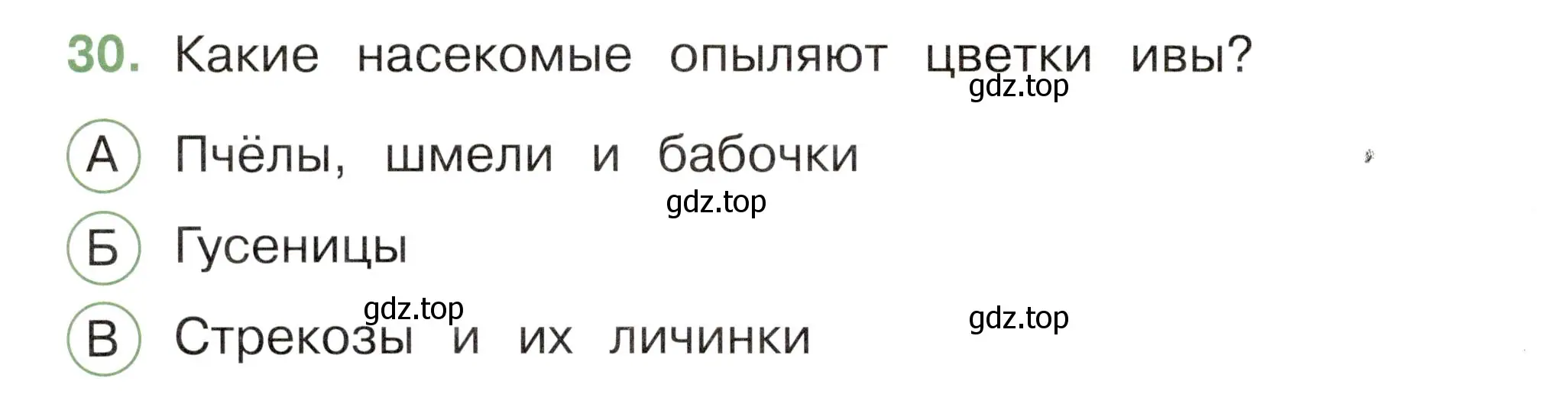 Условие номер 30 (страница 64) гдз по окружающему миру 2 класс Плешаков, Новицкая, тесты