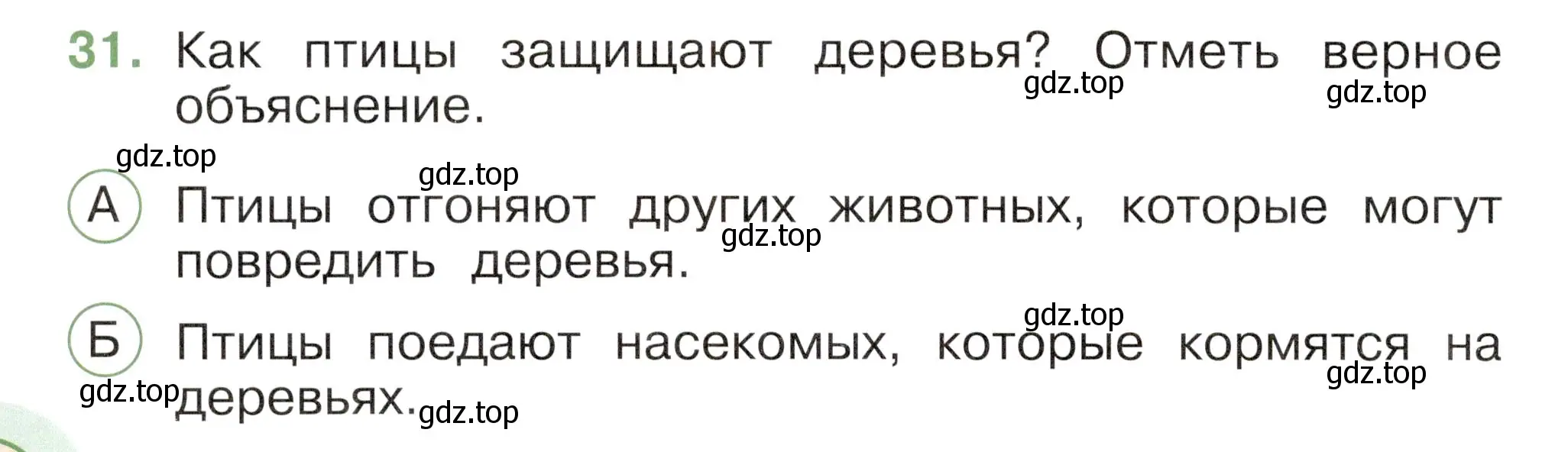 Условие номер 31 (страница 64) гдз по окружающему миру 2 класс Плешаков, Новицкая, тесты