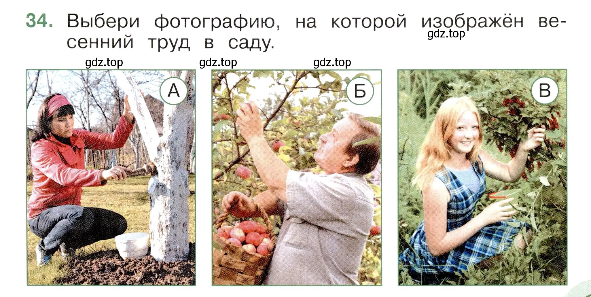 Условие номер 34 (страница 65) гдз по окружающему миру 2 класс Плешаков, Новицкая, тесты