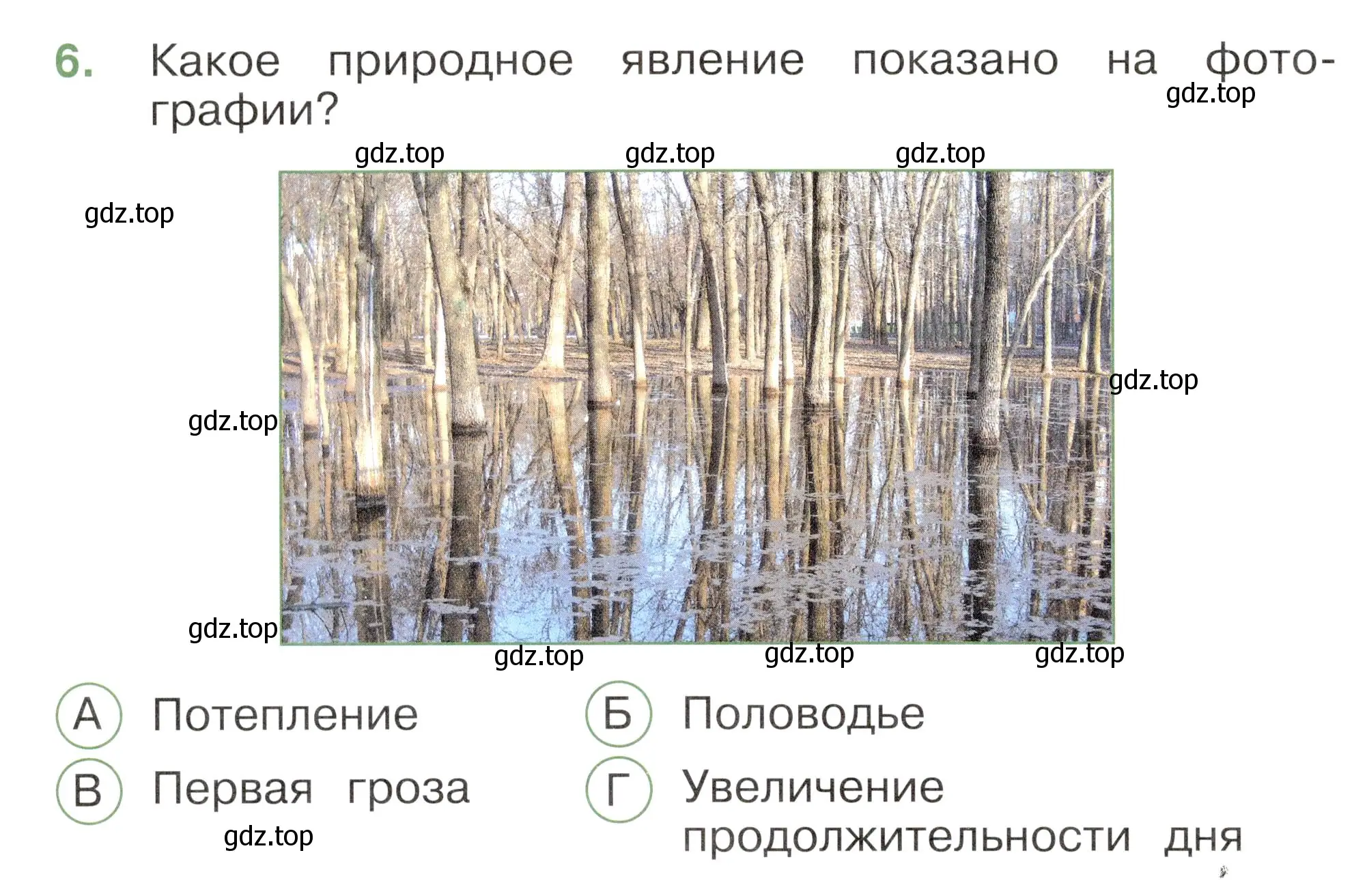 Условие номер 6 (страница 56) гдз по окружающему миру 2 класс Плешаков, Новицкая, тесты