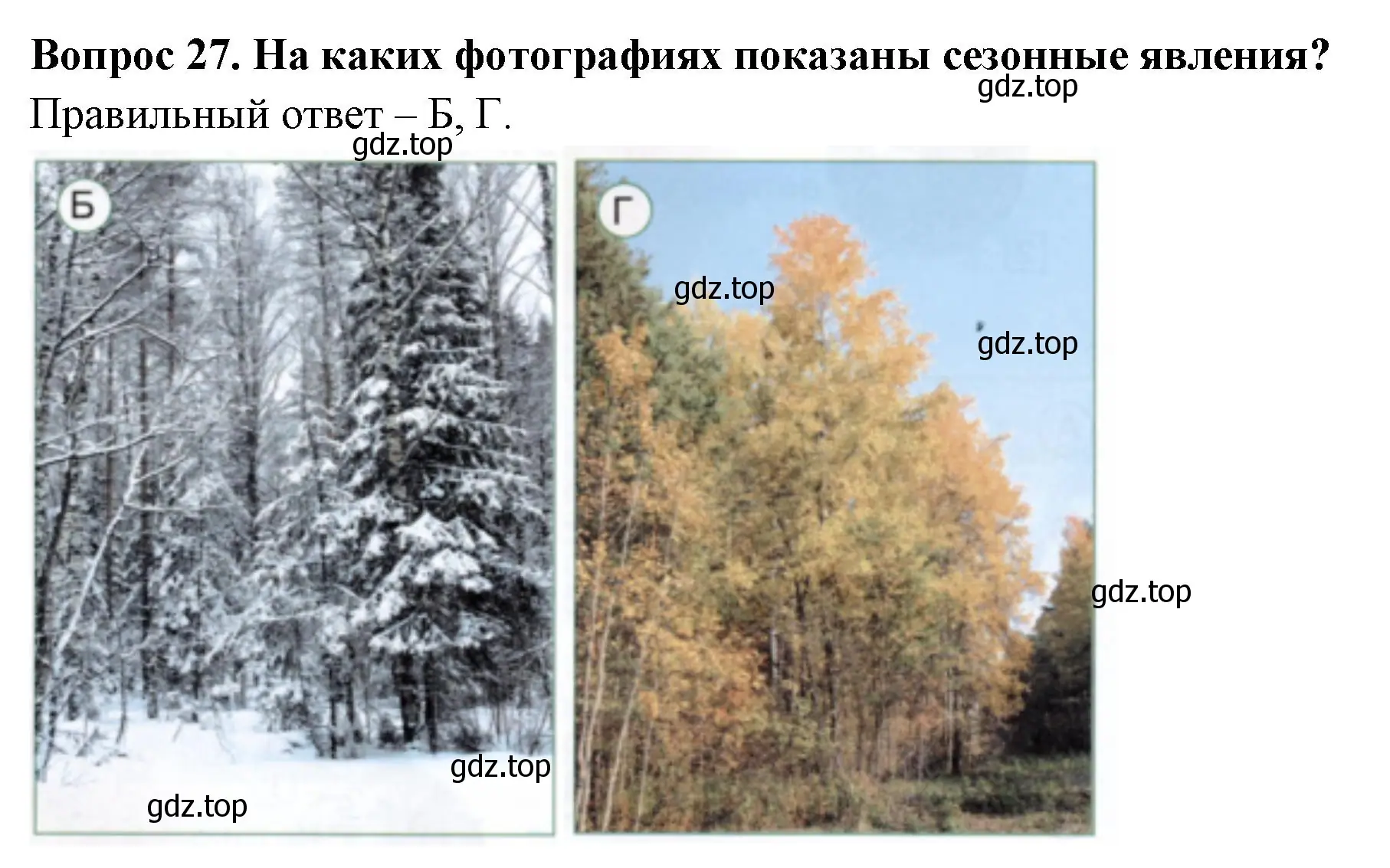 Решение номер 27 (страница 10) гдз по окружающему миру 2 класс Плешаков, Новицкая, тесты