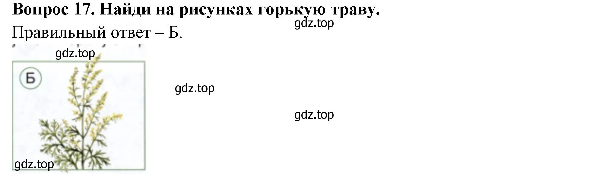 Решение номер 17 (страница 21) гдз по окружающему миру 2 класс Плешаков, Новицкая, тесты