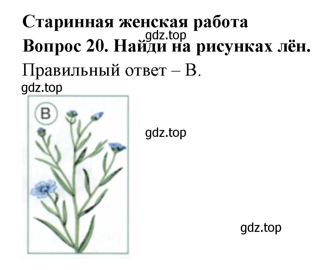 Решение номер 20 (страница 22) гдз по окружающему миру 2 класс Плешаков, Новицкая, тесты