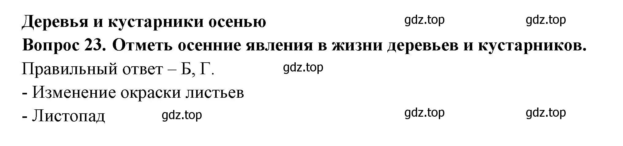 Решение номер 23 (страница 23) гдз по окружающему миру 2 класс Плешаков, Новицкая, тесты