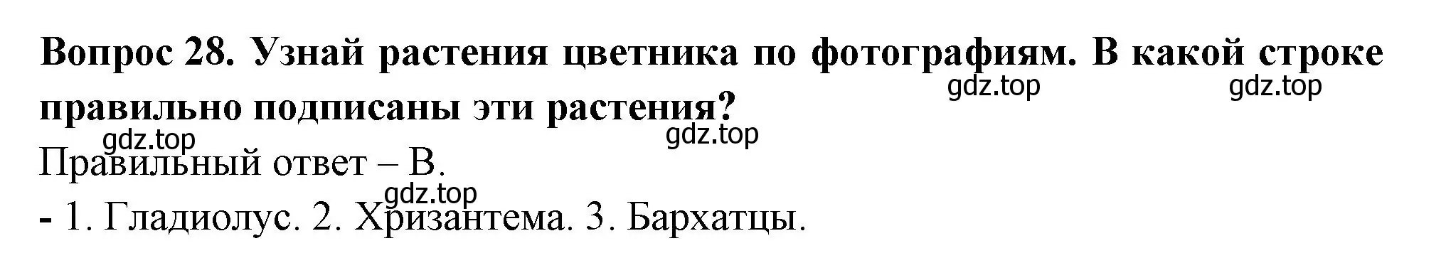 Решение номер 28 (страница 25) гдз по окружающему миру 2 класс Плешаков, Новицкая, тесты