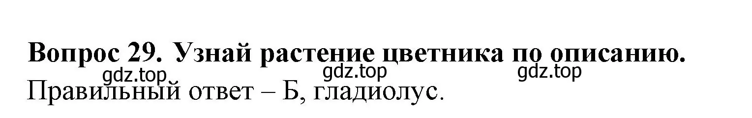 Решение номер 29 (страница 25) гдз по окружающему миру 2 класс Плешаков, Новицкая, тесты