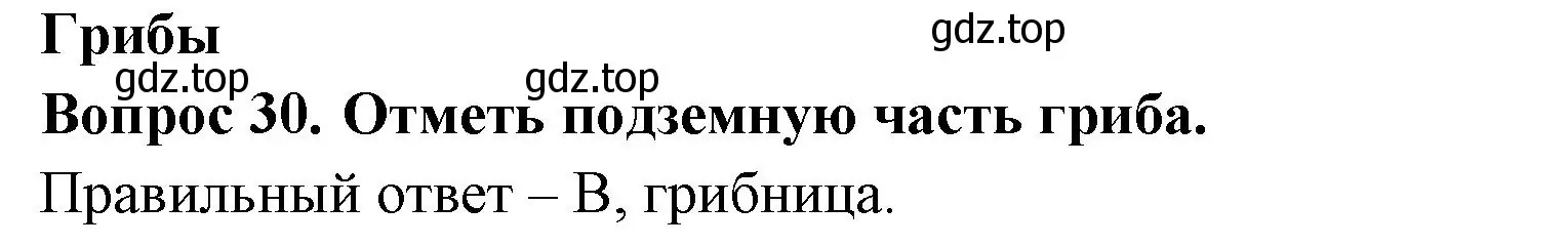 Решение номер 30 (страница 26) гдз по окружающему миру 2 класс Плешаков, Новицкая, тесты