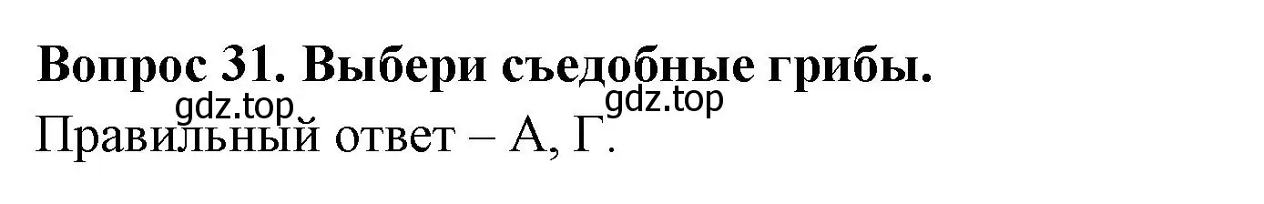 Решение номер 31 (страница 26) гдз по окружающему миру 2 класс Плешаков, Новицкая, тесты