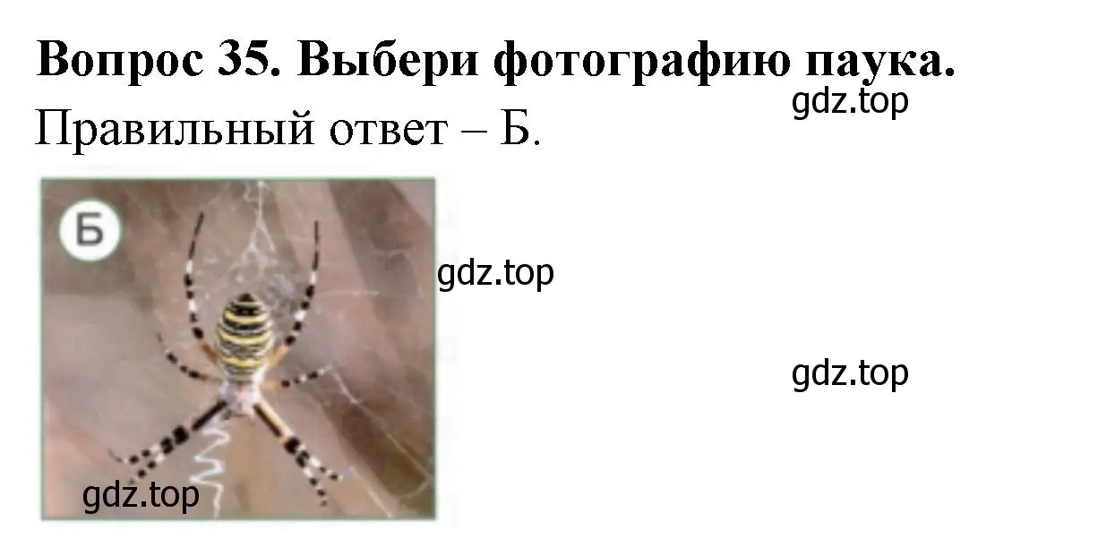 Решение номер 35 (страница 27) гдз по окружающему миру 2 класс Плешаков, Новицкая, тесты