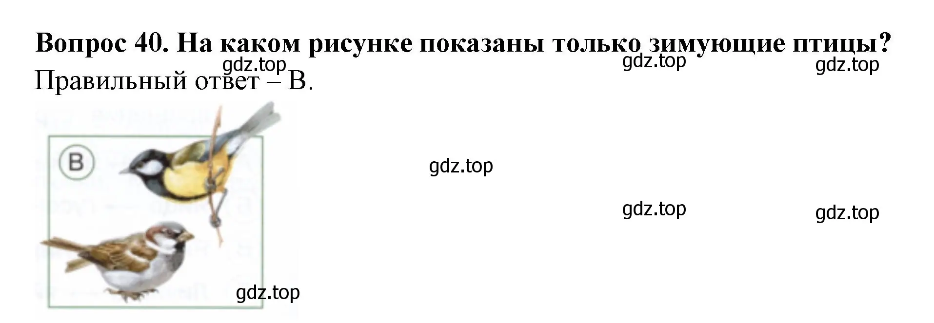 Решение номер 40 (страница 28) гдз по окружающему миру 2 класс Плешаков, Новицкая, тесты