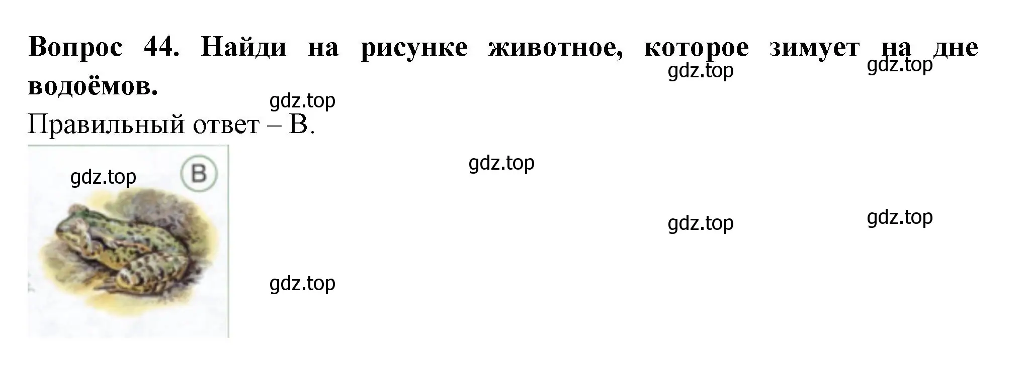 Решение номер 44 (страница 29) гдз по окружающему миру 2 класс Плешаков, Новицкая, тесты