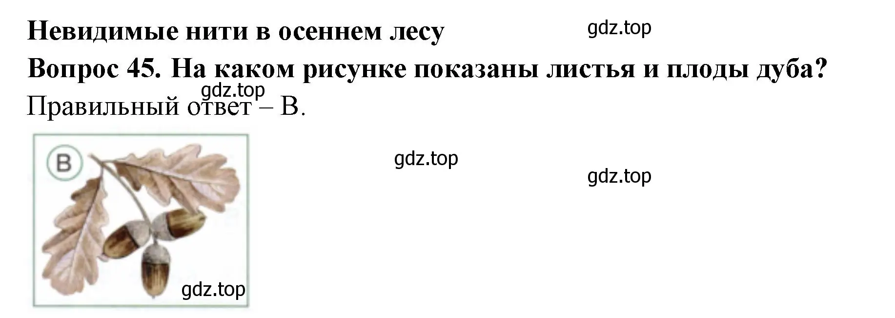 Решение номер 45 (страница 30) гдз по окружающему миру 2 класс Плешаков, Новицкая, тесты