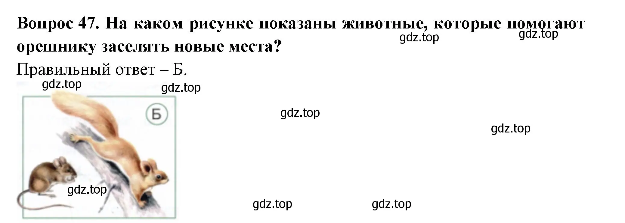 Решение номер 47 (страница 30) гдз по окружающему миру 2 класс Плешаков, Новицкая, тесты