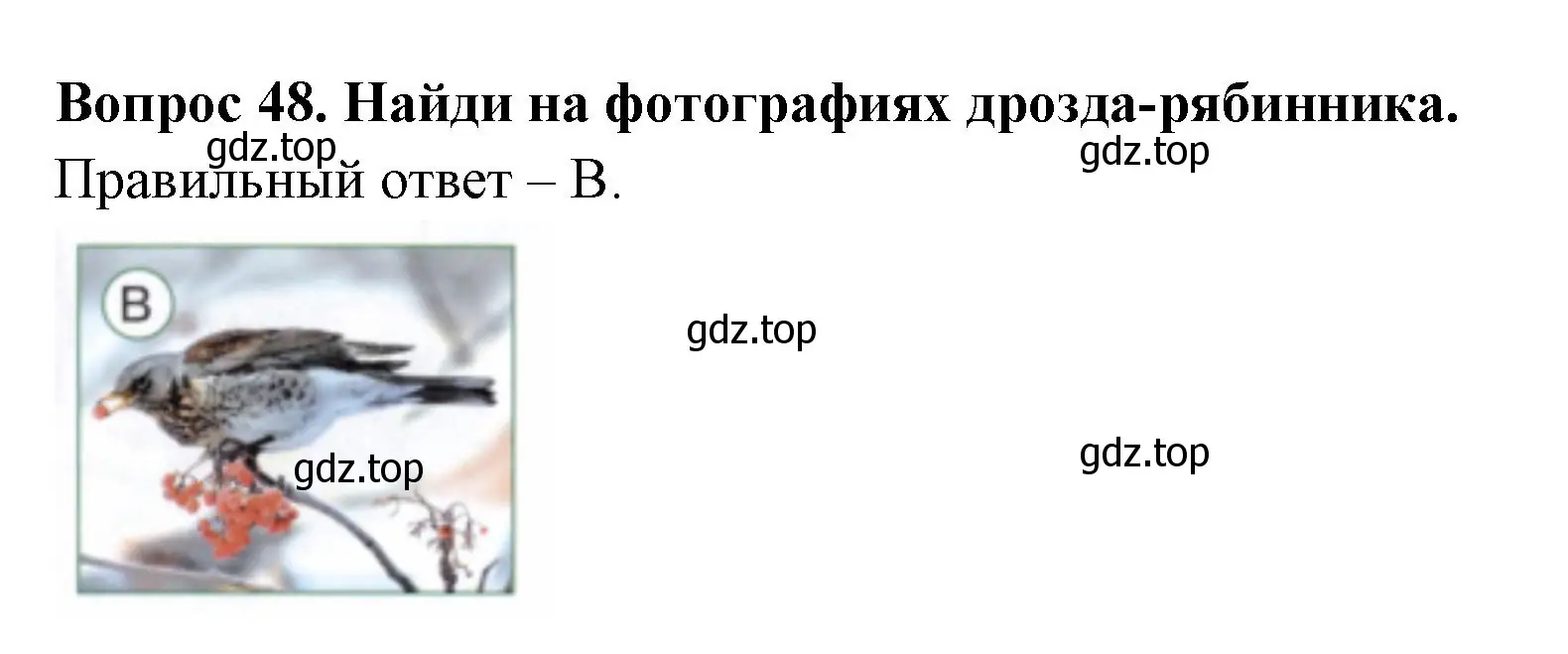 Решение номер 48 (страница 30) гдз по окружающему миру 2 класс Плешаков, Новицкая, тесты