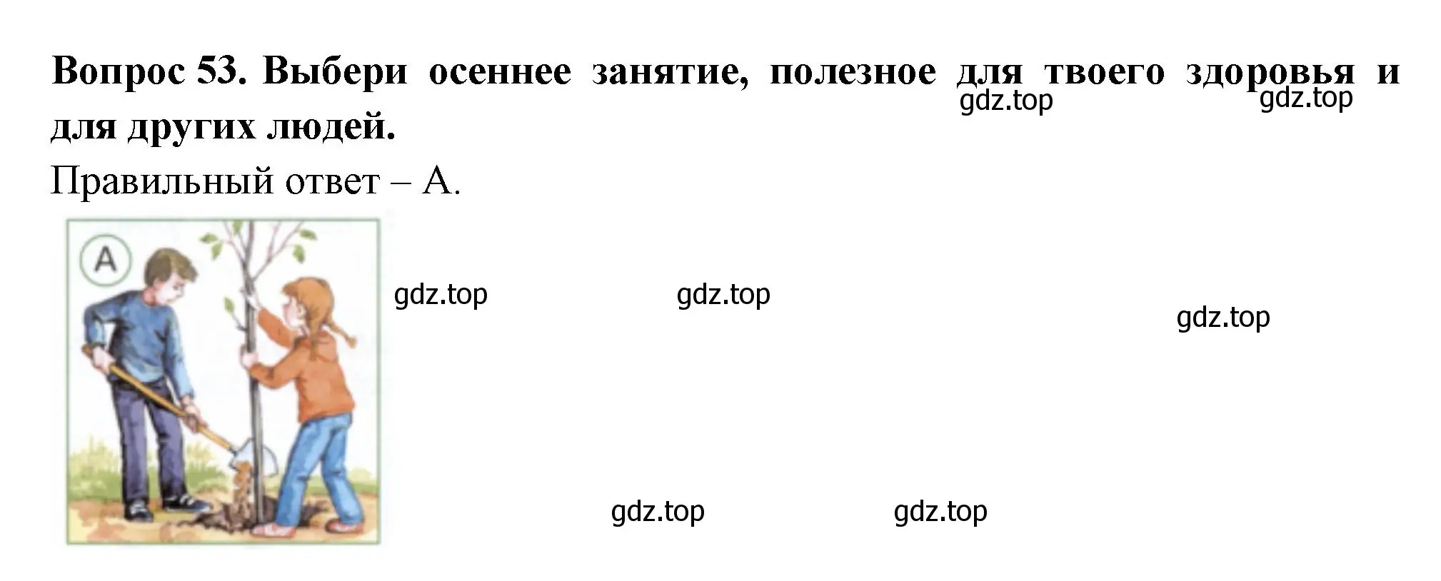 Решение номер 53 (страница 32) гдз по окружающему миру 2 класс Плешаков, Новицкая, тесты