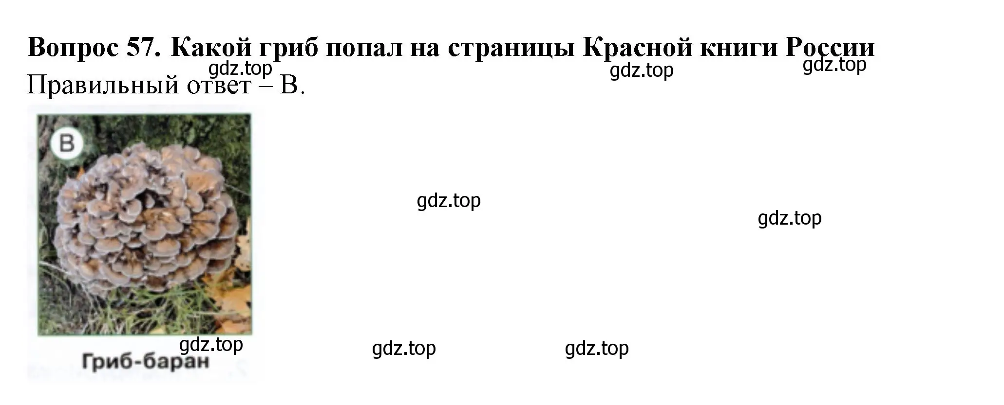 Решение номер 57 (страница 35) гдз по окружающему миру 2 класс Плешаков, Новицкая, тесты