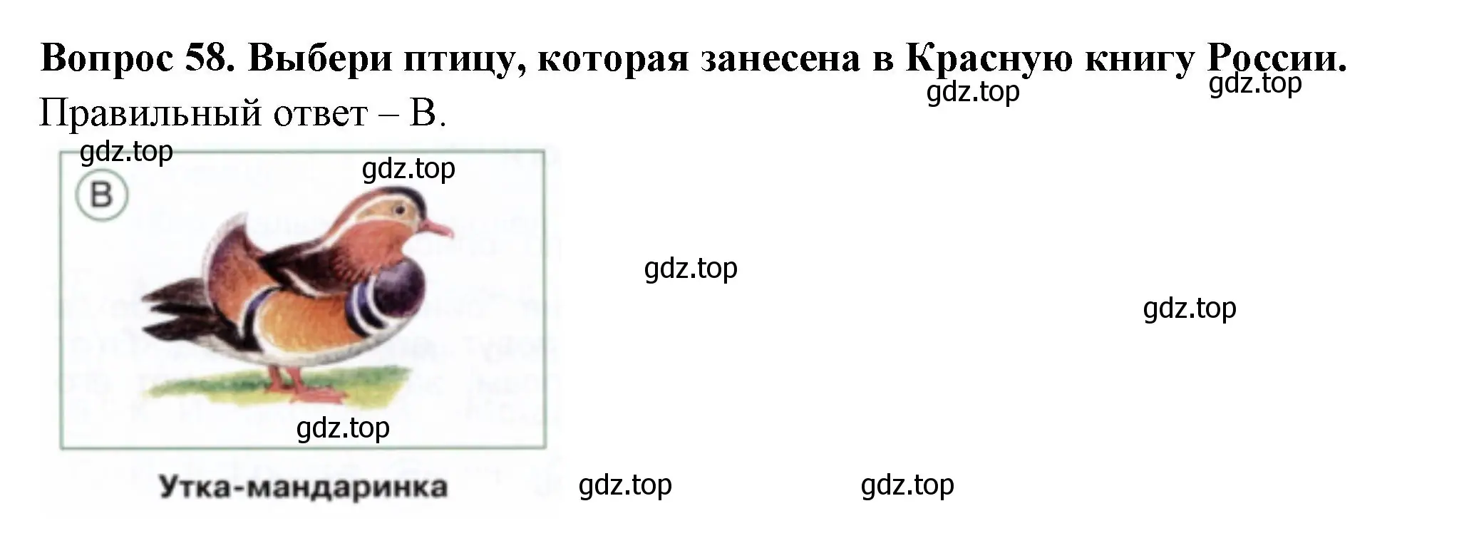 Решение номер 58 (страница 35) гдз по окружающему миру 2 класс Плешаков, Новицкая, тесты