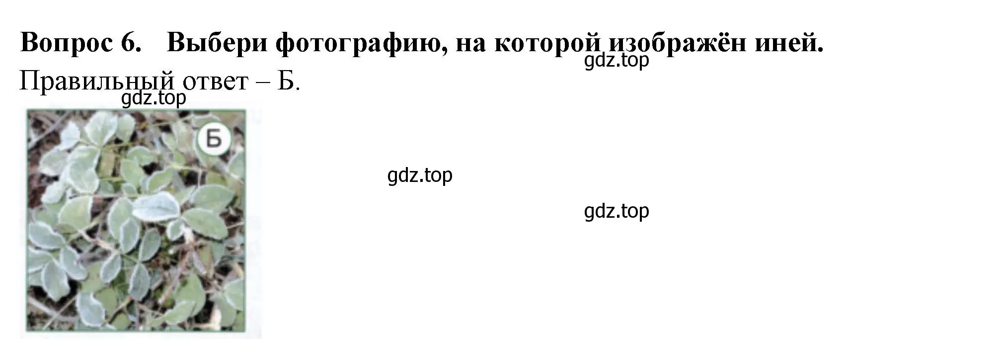 Решение номер 6 (страница 18) гдз по окружающему миру 2 класс Плешаков, Новицкая, тесты