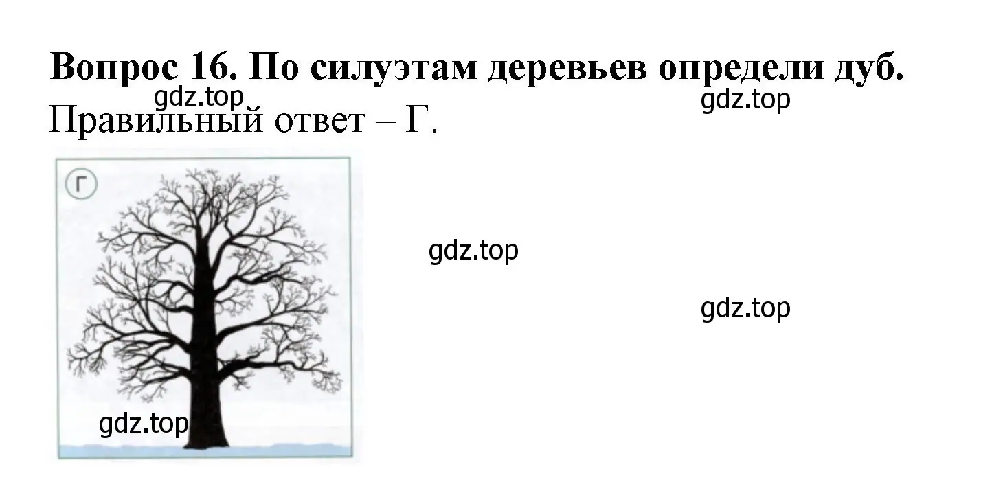 Решение номер 16 (страница 41) гдз по окружающему миру 2 класс Плешаков, Новицкая, тесты