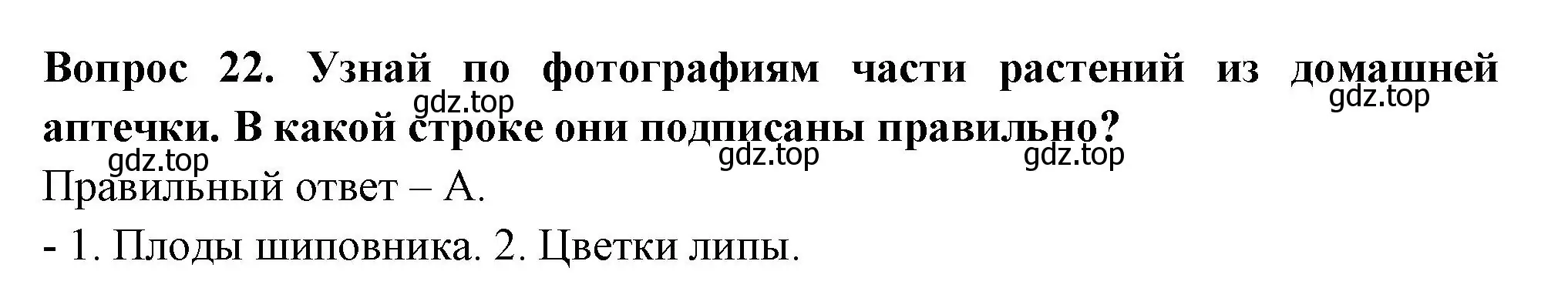 Решение номер 22 (страница 44) гдз по окружающему миру 2 класс Плешаков, Новицкая, тесты