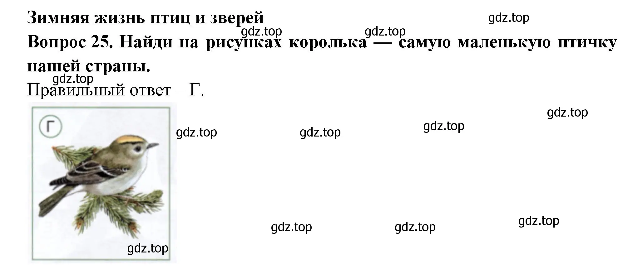 Решение номер 25 (страница 45) гдз по окружающему миру 2 класс Плешаков, Новицкая, тесты