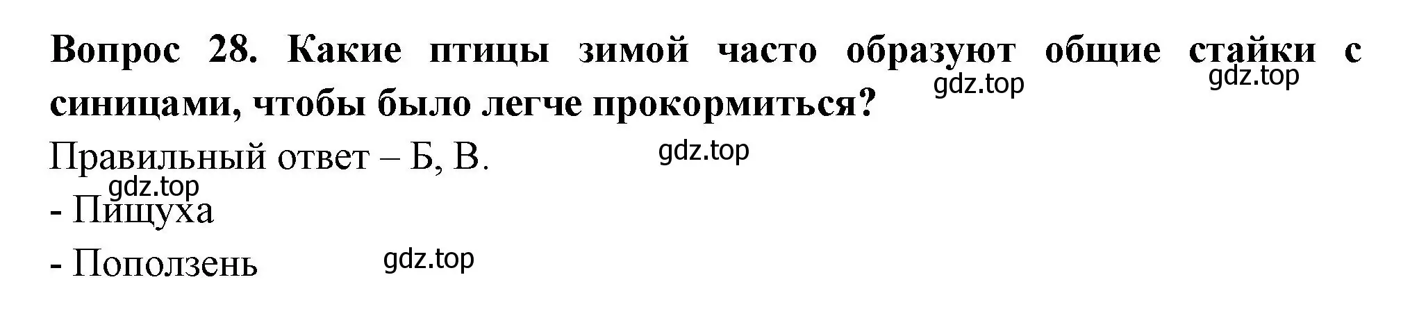 Решение номер 28 (страница 46) гдз по окружающему миру 2 класс Плешаков, Новицкая, тесты