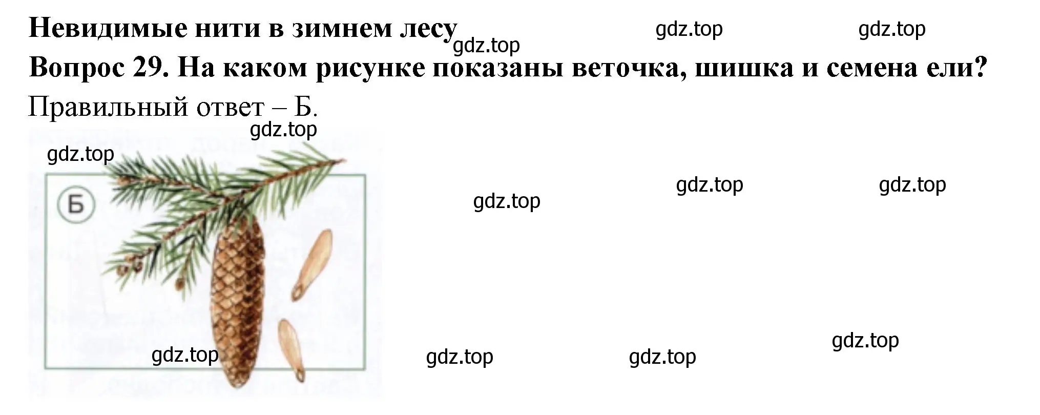 Решение номер 29 (страница 47) гдз по окружающему миру 2 класс Плешаков, Новицкая, тесты