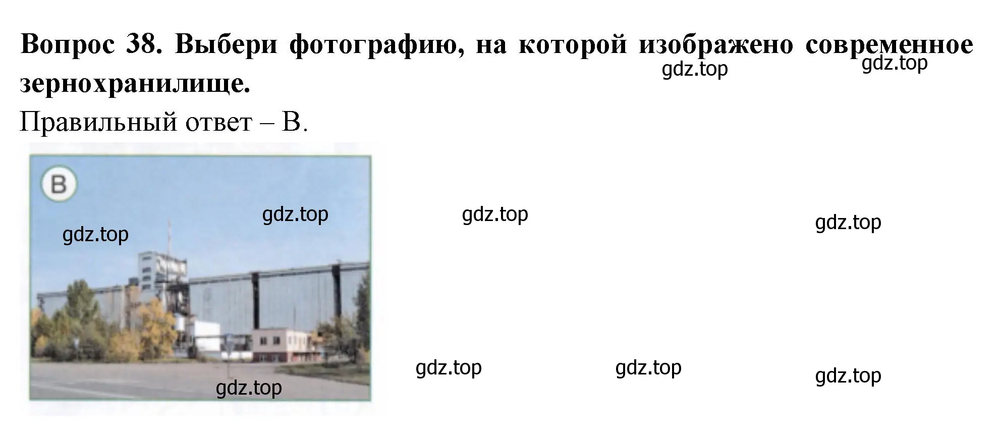 Решение номер 38 (страница 50) гдз по окружающему миру 2 класс Плешаков, Новицкая, тесты