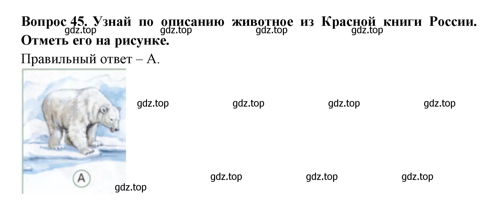 Решение номер 45 (страница 54) гдз по окружающему миру 2 класс Плешаков, Новицкая, тесты