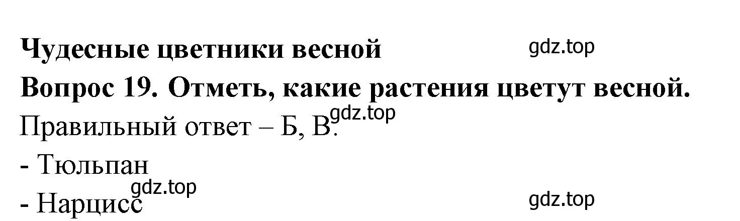 Решение номер 19 (страница 61) гдз по окружающему миру 2 класс Плешаков, Новицкая, тесты