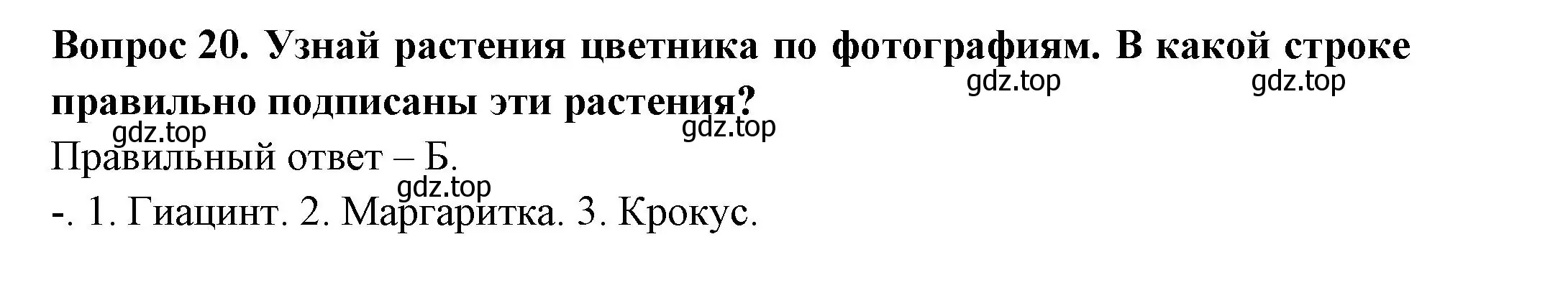 Решение номер 20 (страница 61) гдз по окружающему миру 2 класс Плешаков, Новицкая, тесты