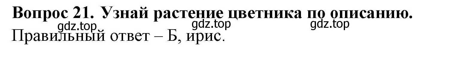 Решение номер 21 (страница 61) гдз по окружающему миру 2 класс Плешаков, Новицкая, тесты