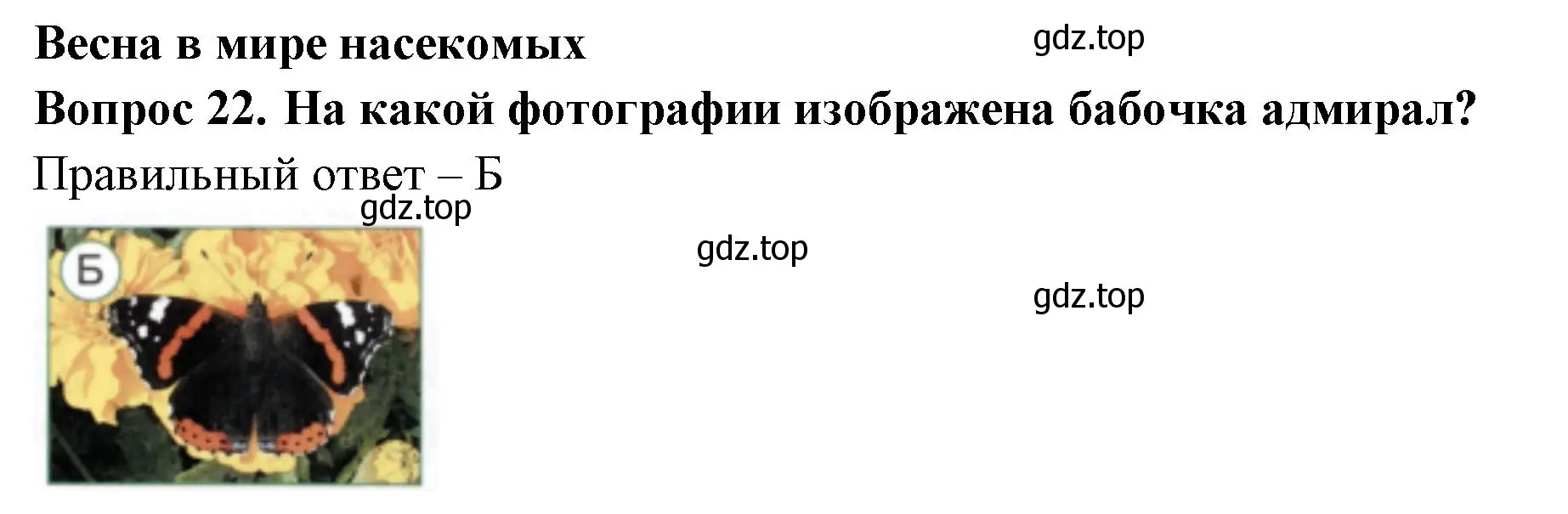 Решение номер 22 (страница 62) гдз по окружающему миру 2 класс Плешаков, Новицкая, тесты